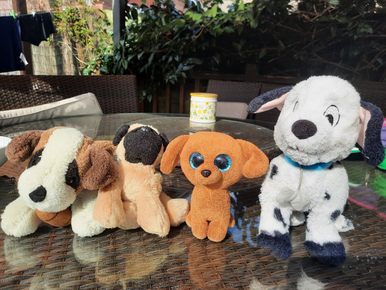 Doggy teddies
