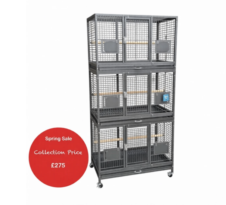 Parrot Supplies Triple Breeding / Display Parrot Cage - Antique