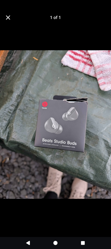 Beats ear buds 