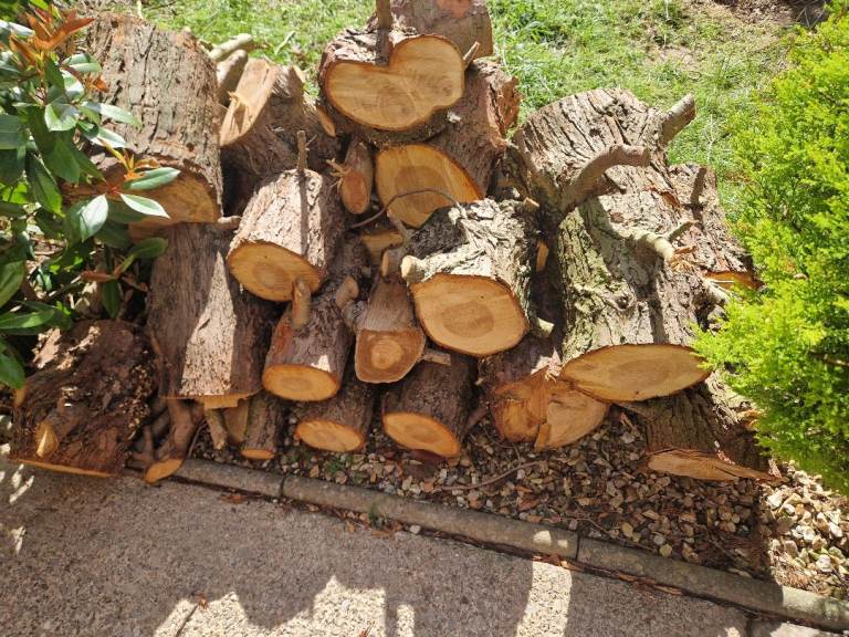firewood