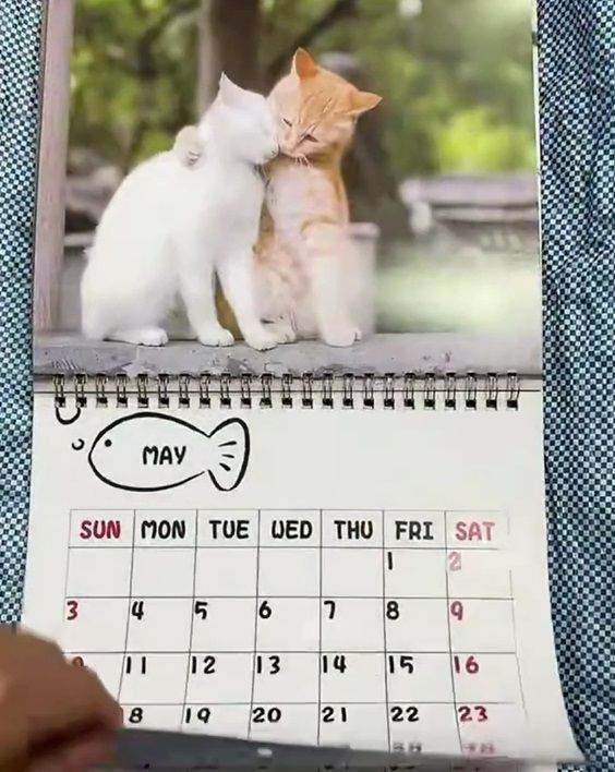 image for only £3.49 - Cute Kitten calendar for 2026 - page by month wall type - chunky size