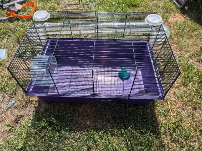 Small animal cage