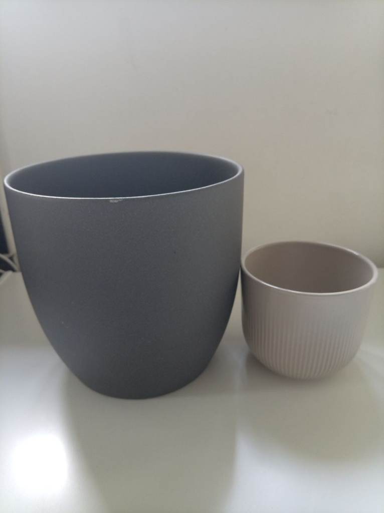 Two plant pots