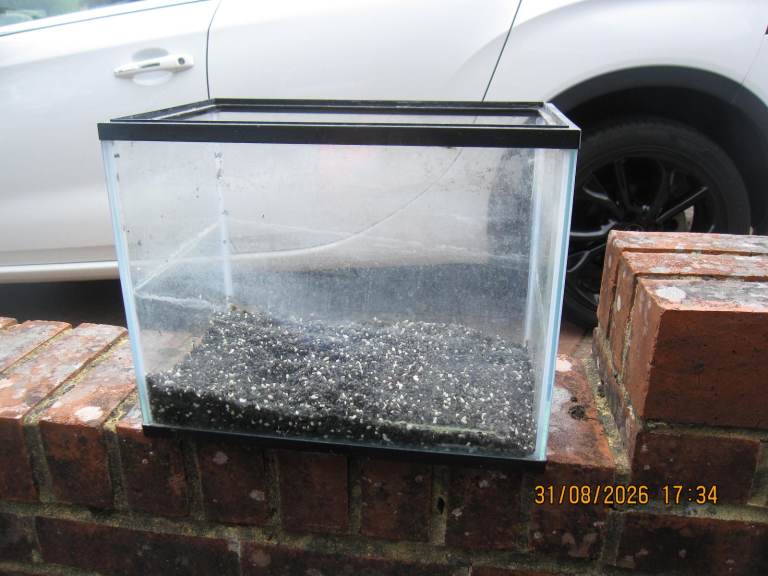 Small Glass Fish Tank Aquarium with Gravel