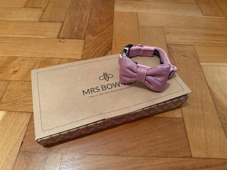 Mrs Bow Tie Dog Collar with Detachable Bow Tie - Small, Pink Glitter