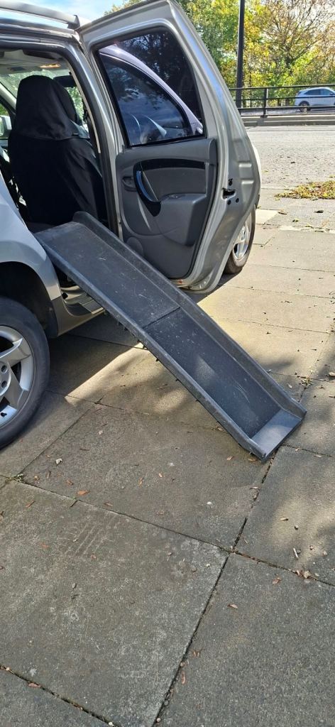 Dog Car Ramp