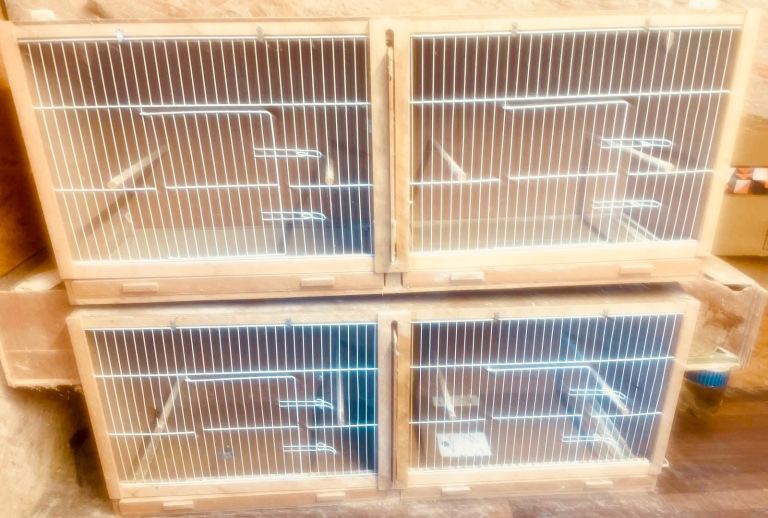 2 x Double Breeding Cages 