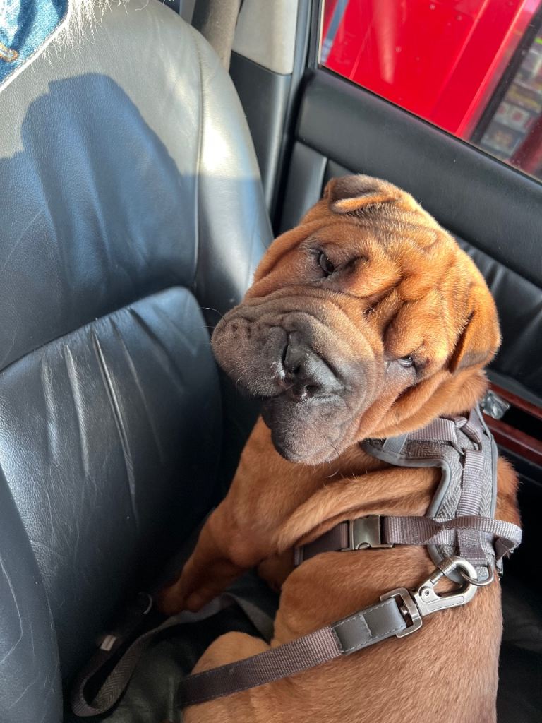 Copper needs a new home