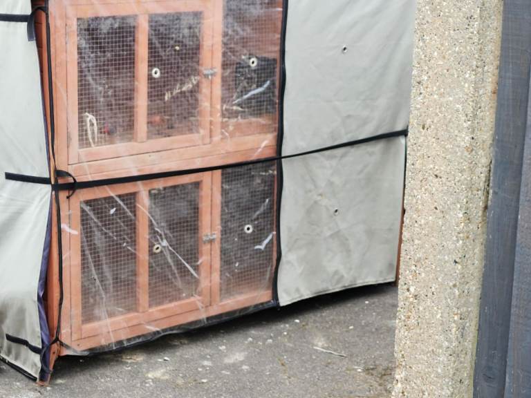 Rabbit hutch