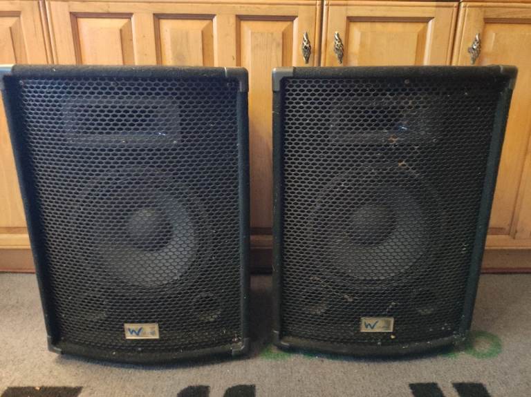 party speaker or   Passive PA Speakers W Audio Gig Rig Performer 200W  rrp  £200