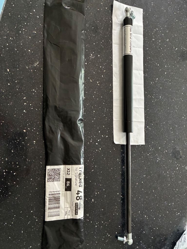 Gas strut