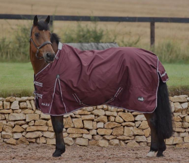 Lightly Used Jump MAXX 100g 1200D Standard Neck Turnout Rug– 6'