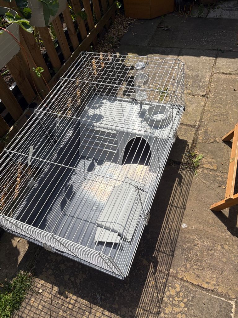 Chick heatplate and cage 