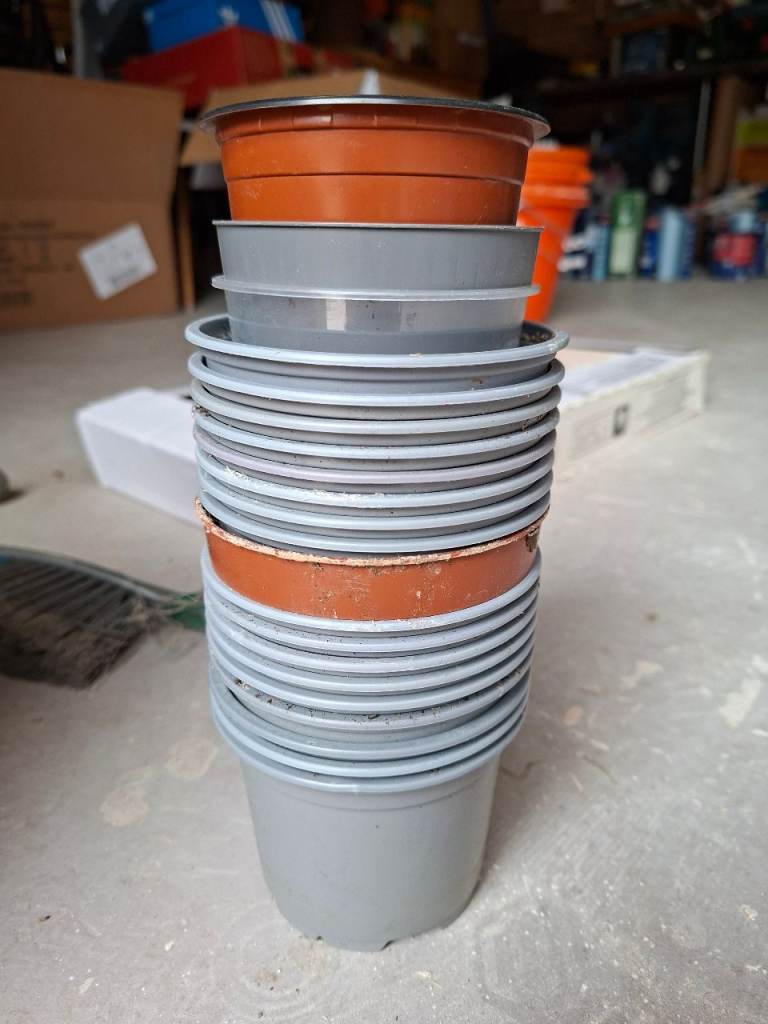 FREE selection of plasric plant pots