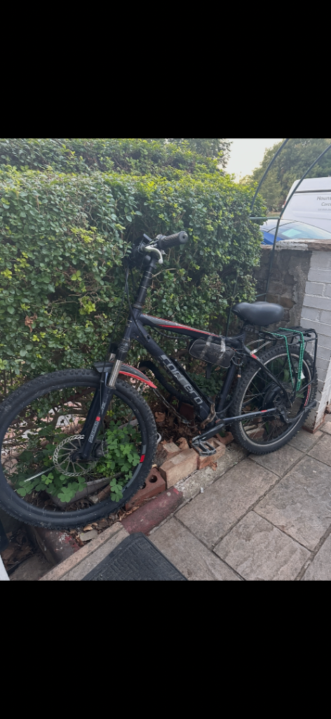 Bike Carrera Electric 
