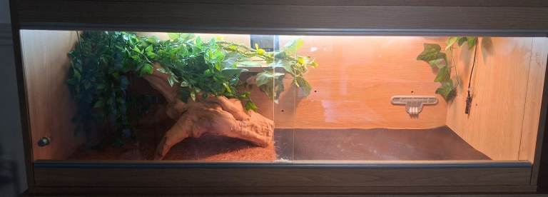 Vivarium full set up