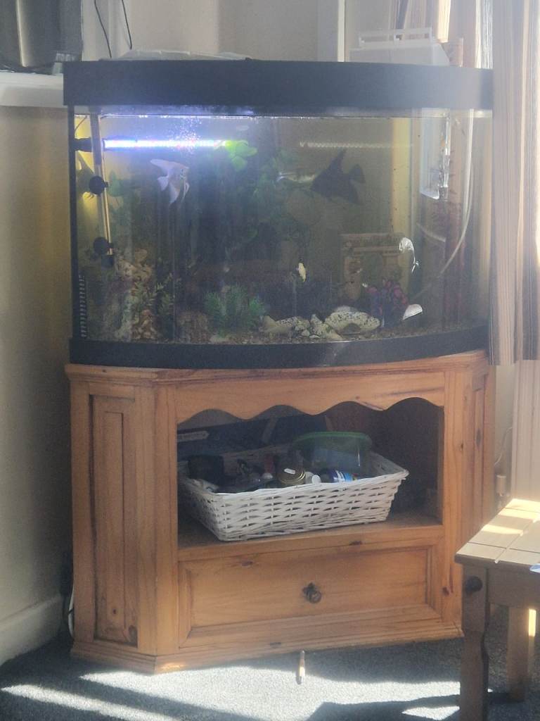 Corner fish tank and stand 