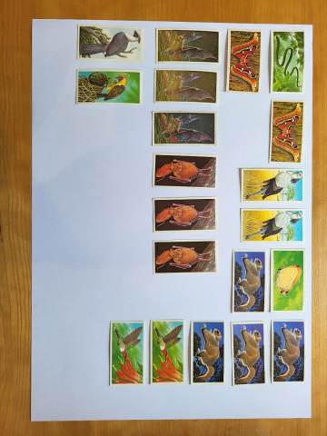 rare brooke bond tea cards Vintage Card Album Muhammad Ali card#21 Brooke Bond