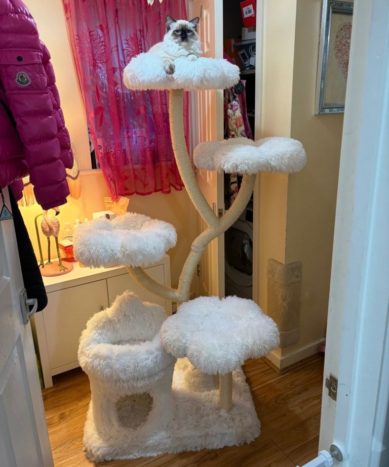 Large cat tree 