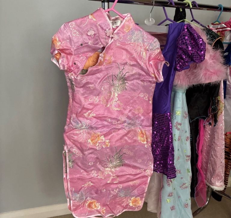 Kids Fancy Dress >8 Costumes 6-10y. Halloween, World book day, school ...