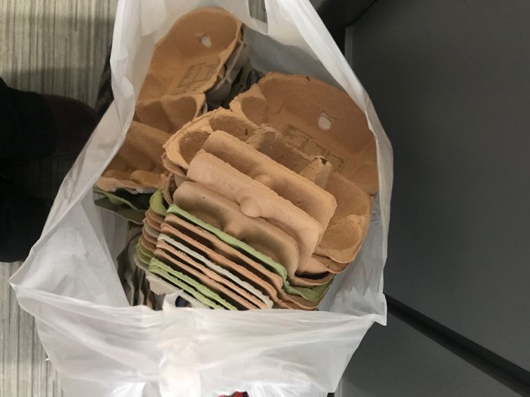 BIG BAG EMPTY EGG BOXES