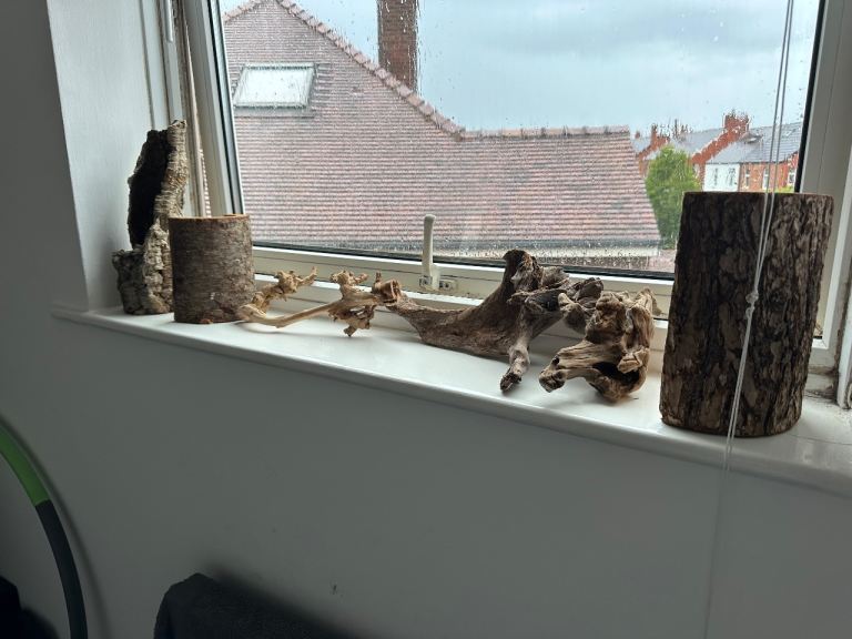Reptile wooden accessories 