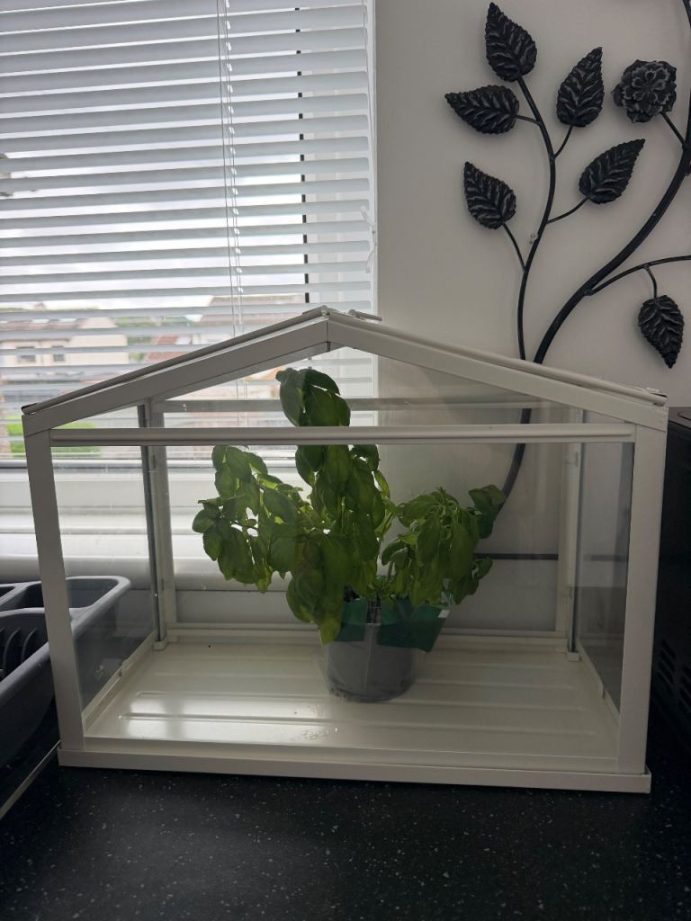 Small Greenhouse