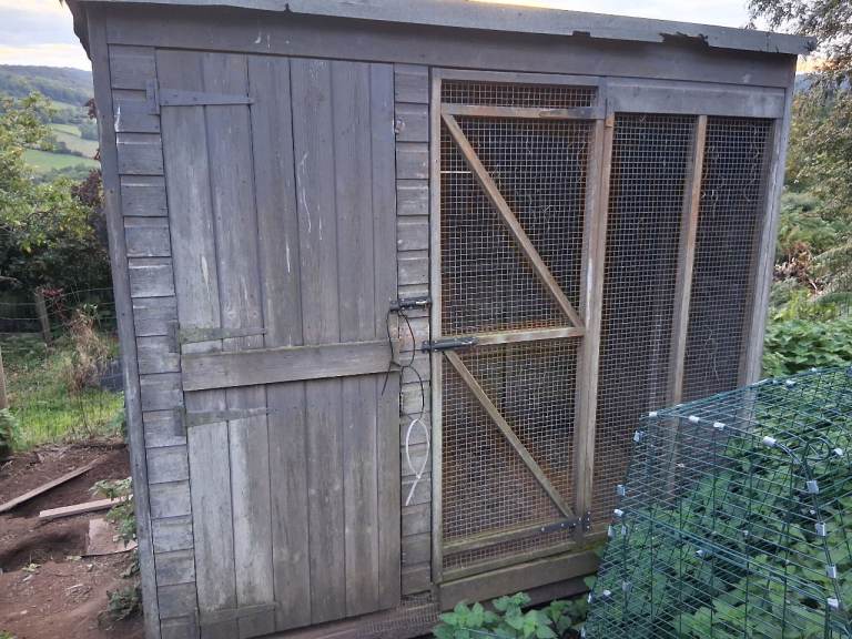 Chicken shed