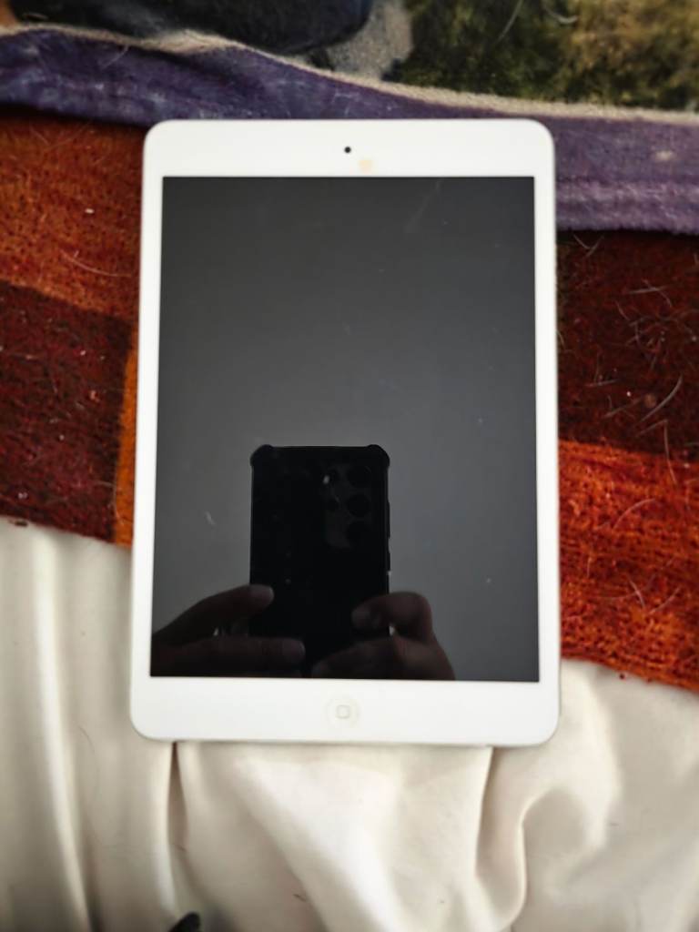 Ipad mini 2
