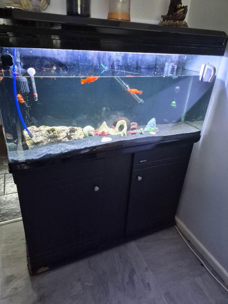 Boyu Fish Tank 