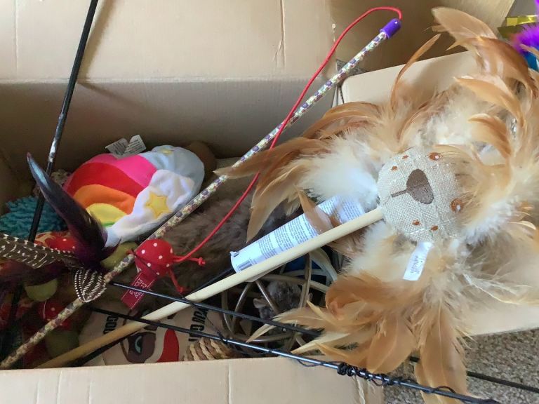 Cat toys, cat hide and seek tunnel scratch mat 