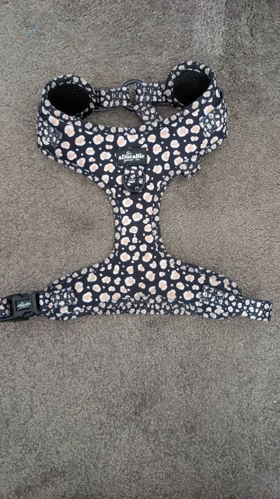 Dog harness 