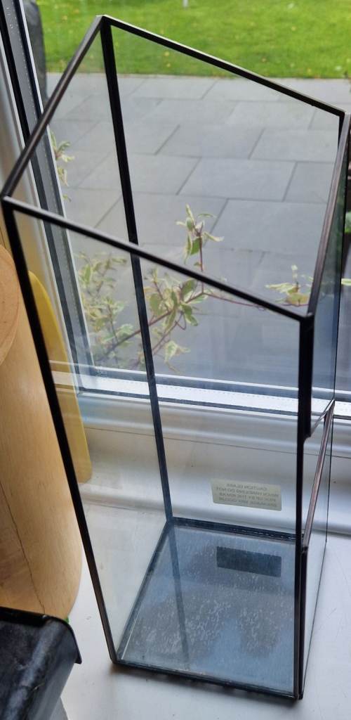 Glass vase for flowers and house plants