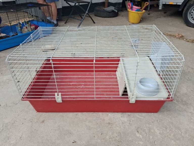 Guinea pig cage