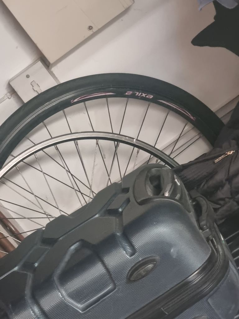 Bike rear single speed wheel 