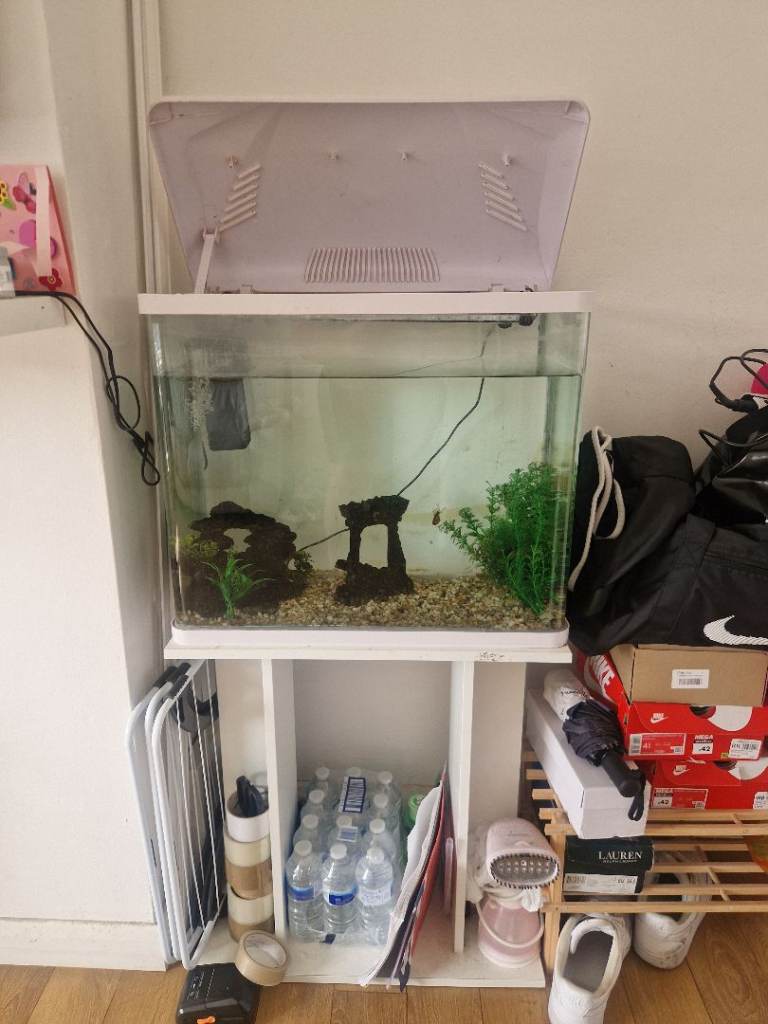 Fish Tank 100 + Litres 