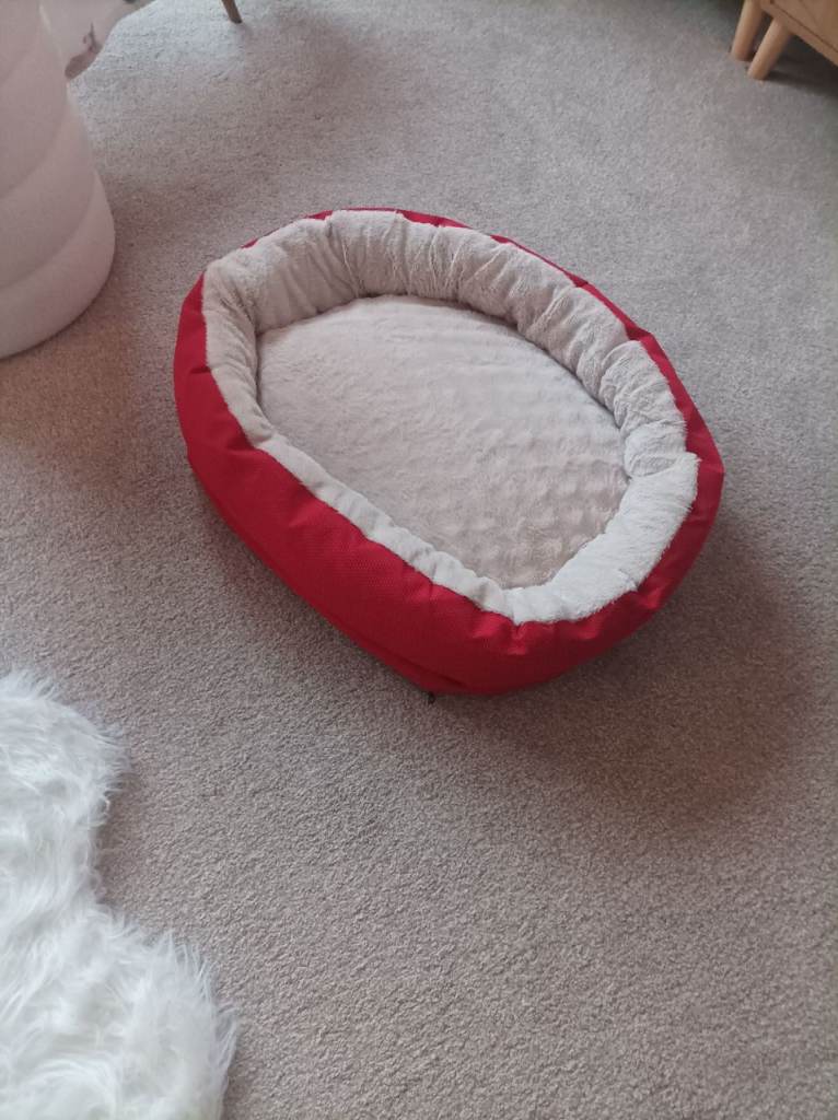 Orthopedic dog bed