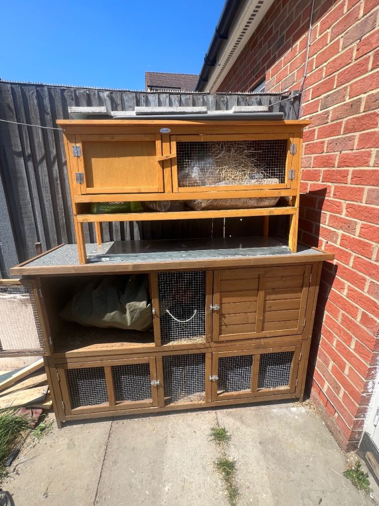 Rabbit hutch for free 