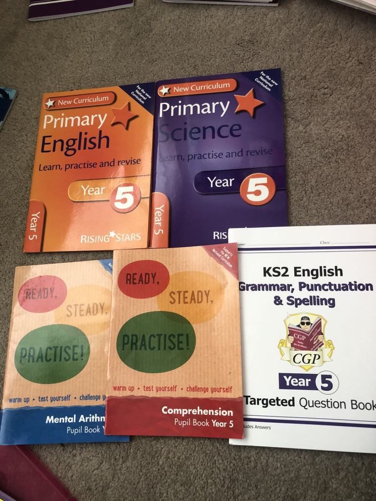 Year 5 revision books