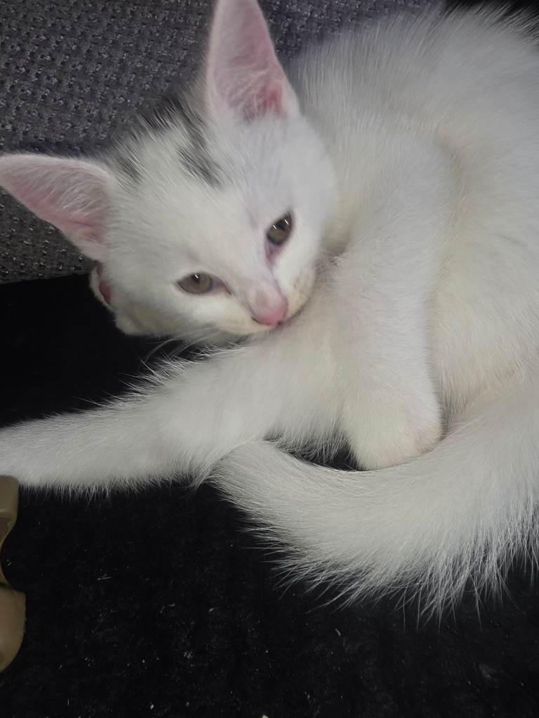 Beautiful little girl 
