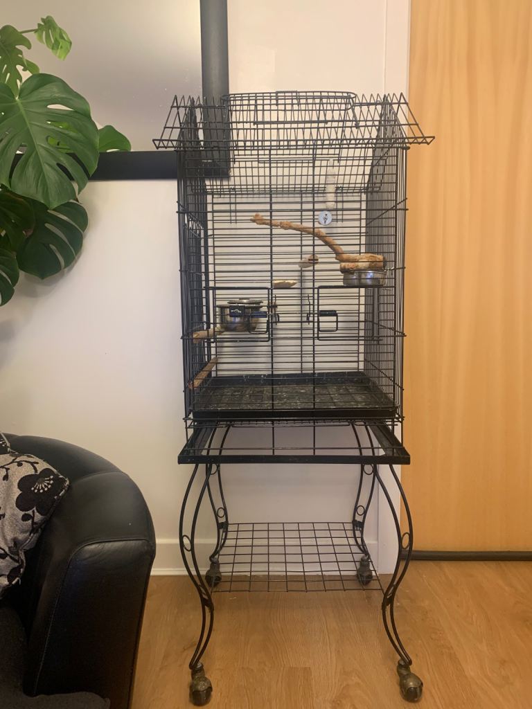 Bird cage & pet carrier 