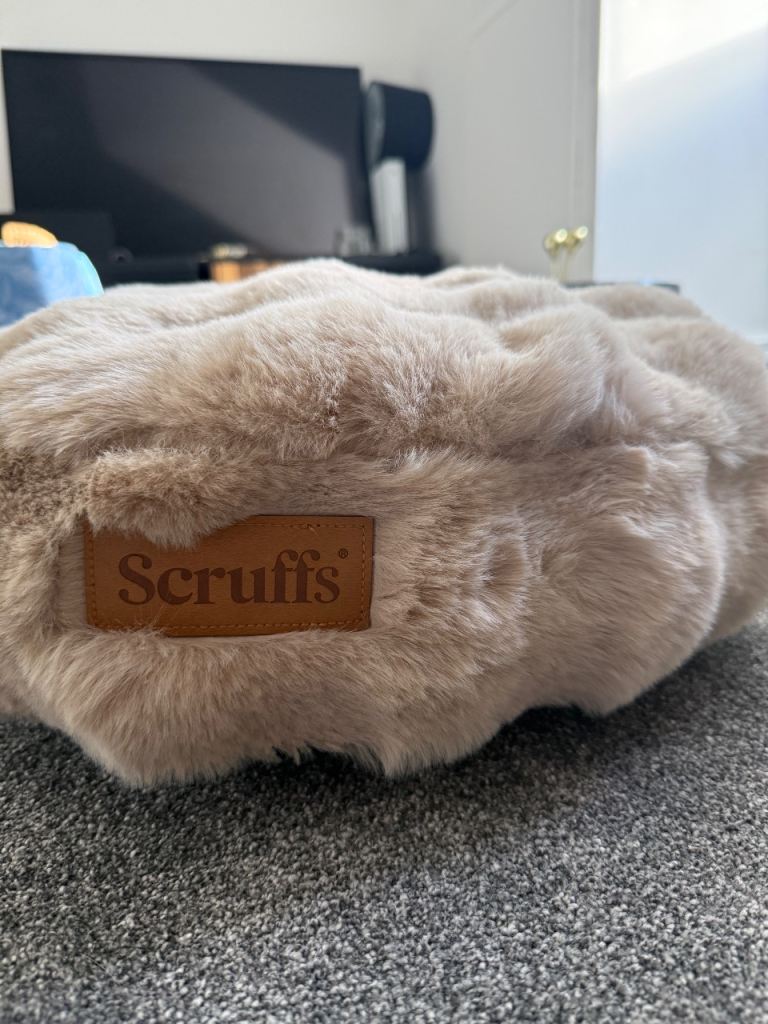 SCRUFFS - Flat Cat Cushion 