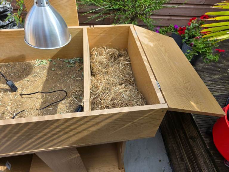 Tortoise table 