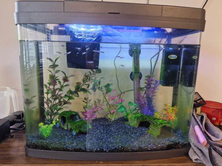 Love Fish Aquarium 40 Litre Fish Tank with Accessories