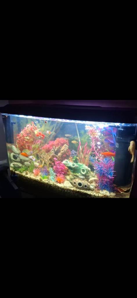 87 ltr Aquarium 