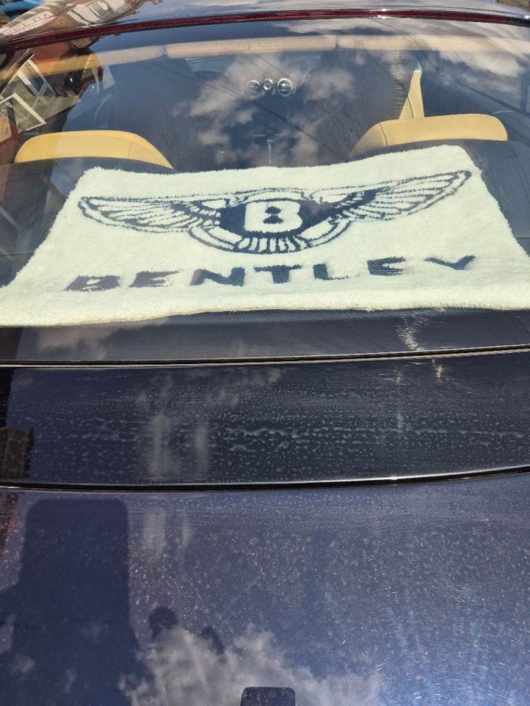 BENTLEY CAR RUG