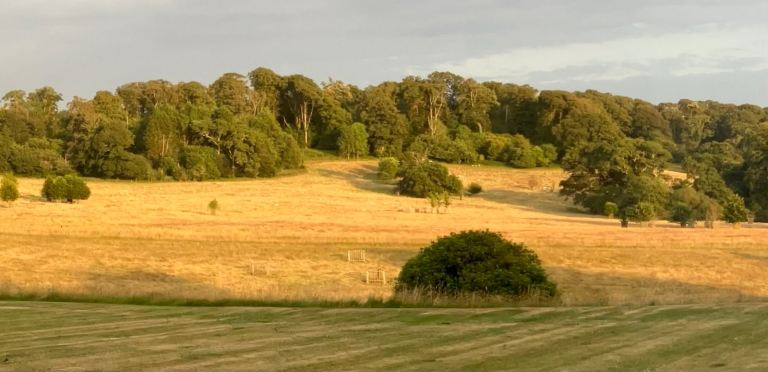 Topsoil WANTED