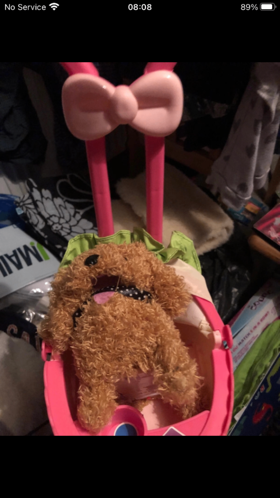 Kids. Dog and  trolley