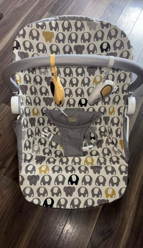 Baby bouncer
