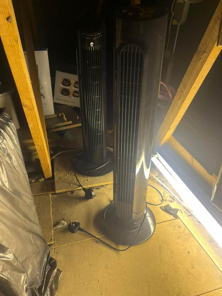 Tower and round fans